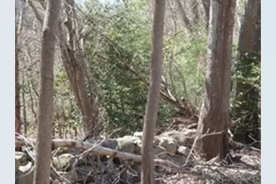 425 A Wareham Street, Middleborough, MA 02346 - Photo 3