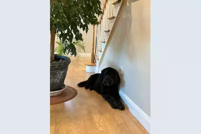 19 Harbourside Rd #19, Quincy, MA 02171 - Photo 5