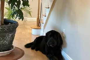 19 Harbourside Rd, Quincy, MA 02171 - Photo 5