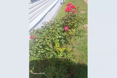 289 Richards Ave, Paxton, MA 01612 - Photo 25