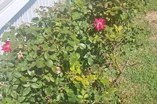 289 Richards Ave, Paxton, MA 01612 - Photo 25