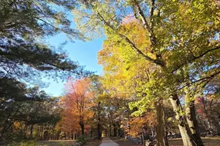 29 South Commons Rd, Lincoln, MA 01773 - Photo 31