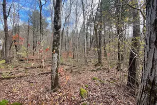 Lot 3 Washington Rd, Brimfield, MA 01010 - Photo 1