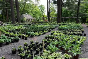 373 N Franklin St, Holbrook, MA 02343 - Photo 3