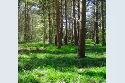 Lot 4 Winterberry Ln, Easton, MA 02356 - Photo 3