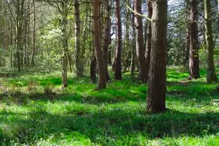 Lot 2 Winterberry Ln, Easton, MA 02256 - Photo 1