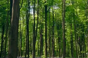 Lot 1 Winterberry Ln, Easton, MA 02256 - Photo 1