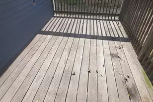 247 Boston St, Boston, MA 02125 - Photo 5