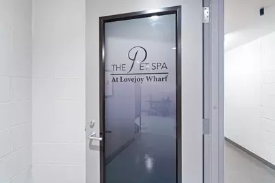 100 Lovejoy Wharf #PH 1B, Boston, MA 02114 - Photo 39