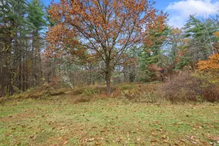 245 Long Pond Rd, Great Barrington, MA 01230 - Photo 31