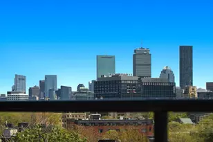 14 Green St, Brookline, MA 02446 - Photo 17