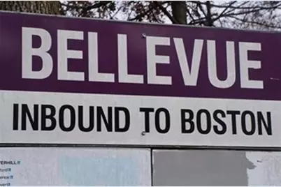 3 Guernsey St #3, Boston, MA 02131 - Photo 21