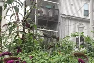 3 Guernsey St, Boston, MA 02131 - Photo 19