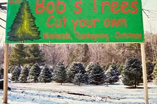 10 Maple St, Plainfield, MA 01070 - Photo 3