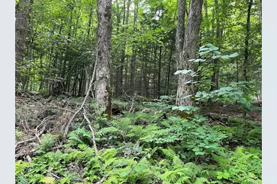 0 Goss Hill Road/Kimball Road, Huntington, MA 01050 - Photo 5