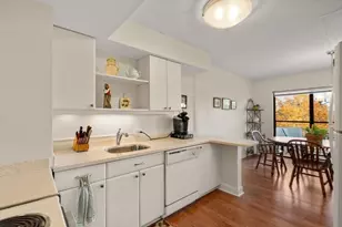 250 Hammond Pond Parkway, Newton, MA 02467 - Photo 19