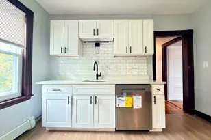 18 Harold Park, Boston, MA 02119 - Photo 37