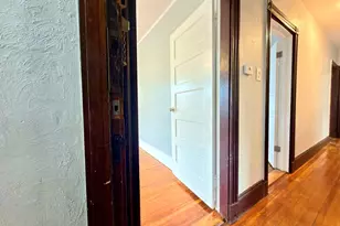 18 Harold Park, Boston, MA 02119 - Photo 3