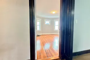 18 Harold Park, Boston, MA 02119 - Photo 23