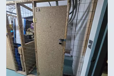 51 Melrose St #2A, Melrose, MA 02176 - Photo 13