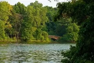 44 Washington, Brookline, MA 02445 - Photo 15