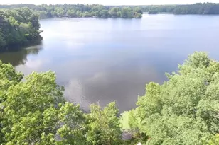 3 Bacon St, Wellesley, MA 02482 - Photo 7