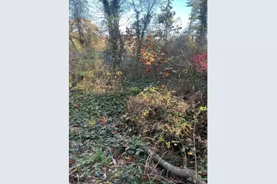 14 Wisteria Street, Lakeville, MA 02347 - Photo 3