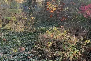 14 Wisteria St, Lakeville, MA 02347 - Photo 3