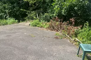 34 Ridlon Rd, Boston, MA 02136 - Photo 9