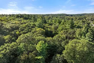 41 Orchard Ave, Weston, MA 02493 - Photo 7