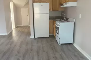 3 Sunderland, Boston, MA 02121 - Photo 1