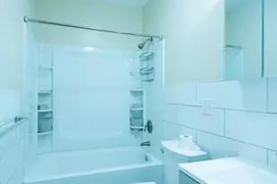 816 River, Boston, MA 02136 - Photo 11