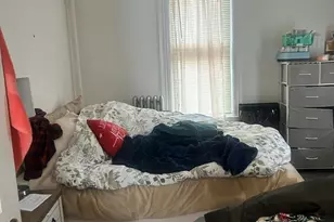 51 Acushnet Ave, Springfield, MA 01105 - Photo 19