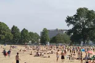 37 Telegraph St, Boston, MA 02127 - Photo 27