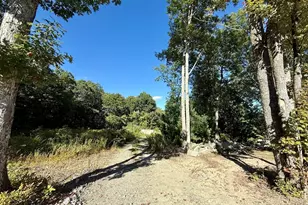 20 Nature Vw Dr, Wrentham, MA 02093 - Photo 15