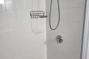 102 Mt Pleasant Ave, Boston, MA 02119 - Photo 7