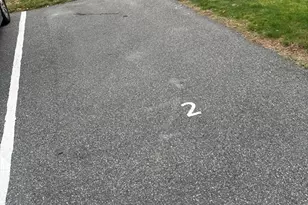 226 Winthrop St, Taunton, MA 02780 - Photo 13