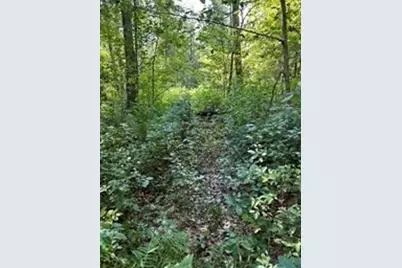 183 SE Main Street, Douglas, MA 01516 - Photo 5