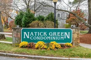 46 Silver Hill Ln, Natick, MA 01760 - Photo 11