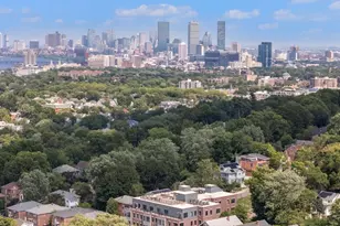 249 Corey Rd, Boston, MA 02135 - Photo 19