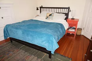 52 Patten St, Boston, MA 02130 - Photo 15