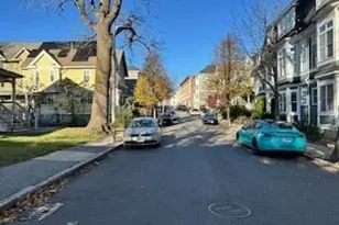 31 Dorr St, Boston, MA 02119 - Photo 5