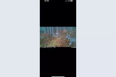 365 Churchill St, Pittsfield, MA 01201 - Photo 7