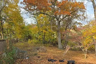 22 Hope Ave, Milton, MA 02186 - Photo 31