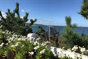 65 Hilltop Ave, Plymouth, MA 02360 - Photo 35