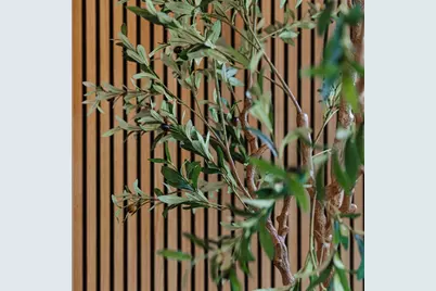 663 E 7th #3, Boston, MA 02127 - Photo 5