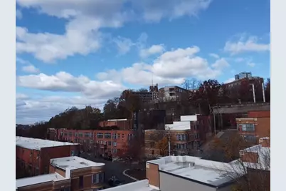 100 Lawn #100, Boston, MA 02120 - Photo 33