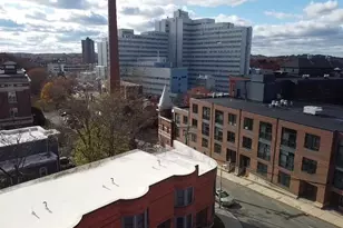 100 Lawn, Boston, MA 02120 - Photo 31