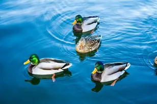 24 Cote Ln, Sutton, MA 01590 - Photo 7