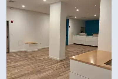 29 Franklin St, Needham, MA 02494 - Photo 11